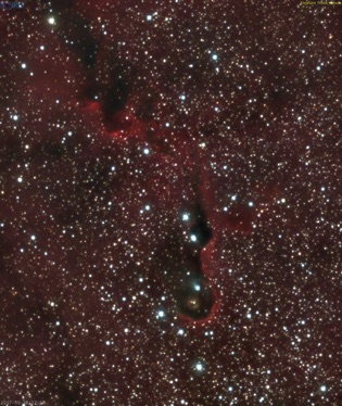 Elephant Trunk nebula 49x5min exposures, OSC, QHY-10 on RASA 8/26/17, 8/27/17 and 8/30/17
