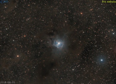Iris nebula   8/5/2018  36 x 90sec subs  QHY367c / RASA / CGEPro