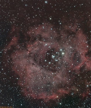 Rosette Nebula 30 x 5 minute subs. QHY-10 / RASA Processed in PixInsight