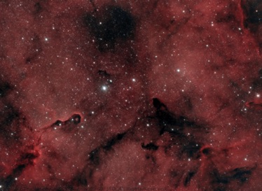 ic1396-rasa-lext-pi-crop.jpg. Elephant Trunk nebula in OSC-169x2m-subs-RASA with L-Ext filter on an ASI 2600MC Pro.jpg taken over 5 nights between July 19 and July 26, 2022