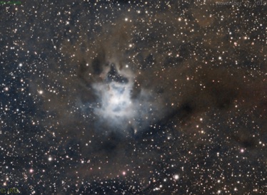 Iris nebula  164x30sec subs 11/22/19  ASI294C / RASA on MX+